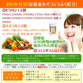 【大容量約6か月分】マルチビタミンミネラル酵素 360粒