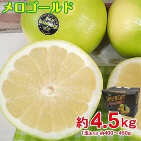【約4.5kg/1玉約400~450g】メロゴールド | 酸味は少なく、しっかりとした甘みを感じられるのが特徴