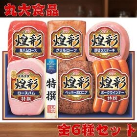 【賞味期限間近】丸大食品 煌彩シリーズギフト（MV-466T）