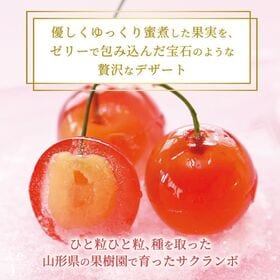 【日替わり数量限定】【8粒入×3箱】プチジェリチェリー さくらんぼゼリーシャーベット【先行チケット利用NG】