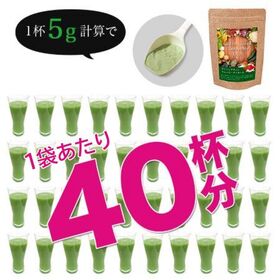 【日替わり数量限定】【1袋/約40杯】グリーングリーンスムージーダイエット【先行チケット利用NG】