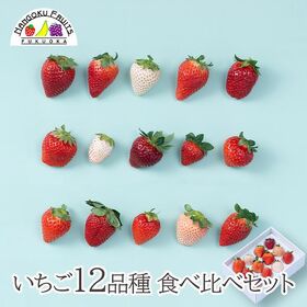 【予約受付】1月中旬~順次出荷　いちご12種食べ比べ