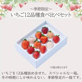 【予約受付】1月中旬~順次出荷　いちご12種食べ比べ