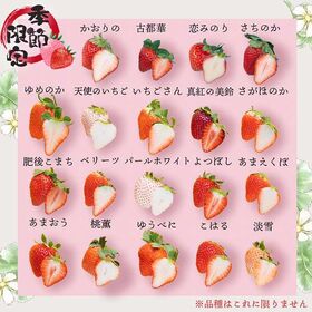 【予約受付】1月中旬~順次出荷　いちご12種食べ比べ