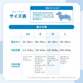 【72枚入り】Famy ファミー 犬用おむつ 男の子用 Mサイズ フィットウェア