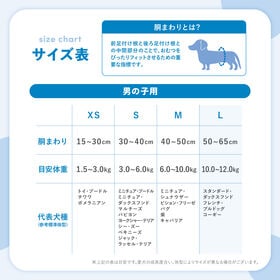 【60枚入り】Famy ファミー 犬用おむつ 男の子用 Lサイズ フィットウェア