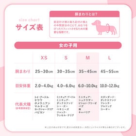 【48枚入り】Famy ファミー 犬用おむつ 女の子用 Mサイズ フィットウェア