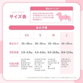 【40枚入り】Famy ファミー 犬用おむつ 女の子用 Lサイズ フィットウェア