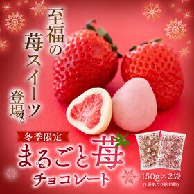 【季節限定】【2種/計300g】まるごと苺チョコレート【常温便】