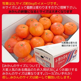 【予約受付】1/7~順次出荷【箱含む約5.0kg(S-3L)】香川県産 小原紅早生みかん