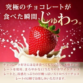 【季節限定】まるごと苺チョコレート ピンクセット【常温便】