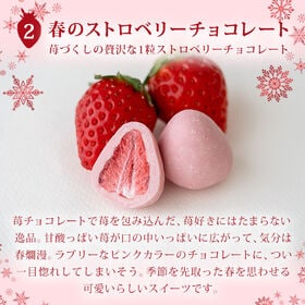 【季節限定】まるごと苺チョコレート ピンクセット【常温便】