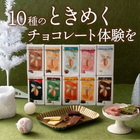 【予約受付】1/10~順次出荷　 割れチョコ アソート 10種 ミックス