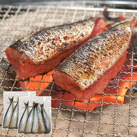 【日替わり数量限定】【計10尾/5尾入り×2P】いわし明太 (加熱用)【先行チケット利用NG】