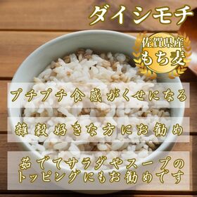 佐賀県産もち麦『ダイシモチ』2kg(1kg×2袋)