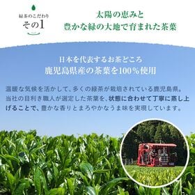 【500ml 24本】緑茶 彩茶-あやちゃ-