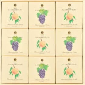 【150g×9個】吟果膳 ちょっと贅沢な実だくさんゼリー詰合せセット | 果肉たっぷりのフルーツゼリー