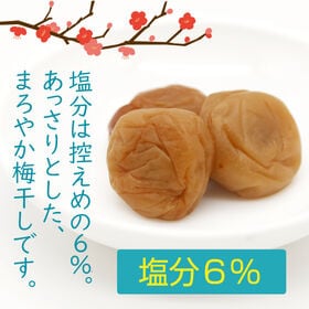 【200g(約21~23個)】紀州南高梅 うす塩味（個包装）
