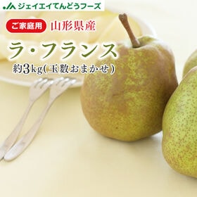 【約3kg／糖度14度以上】山形県産ラ・フランス※ご家庭用