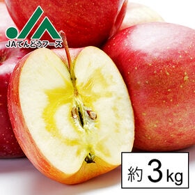 【予約受付】1/20~順次出荷【約3kg(玉数おまかせ)】青森県産サンふじりんご※傷シミあり