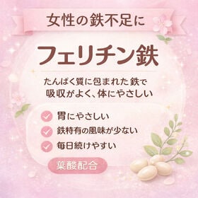 【20日分】 フェリチン鉄＋葉酸　60粒 ★吸収が良く、鉄特有のにおいが少ない植物性