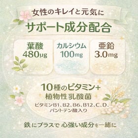 【20日分】 フェリチン鉄＋葉酸　60粒 ★吸収が良く、鉄特有のにおいが少ない植物性