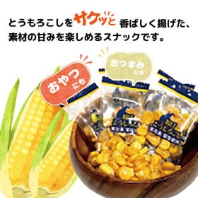 ＜シンプル百科＞【約165g(35袋前後)】揚げとうもろこし