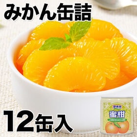【計12缶】熊本県産 みかん缶詰