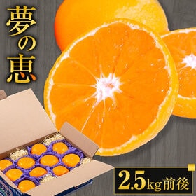 【2.5kg前後】夢の恵 みかん