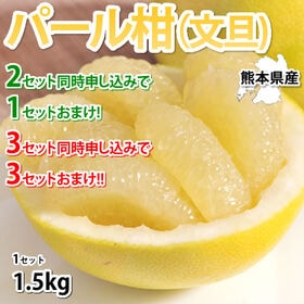 【予約受付】2/10~順次出荷【約1.5kg】熊本県産 パール柑（傷あり、不揃い、ご家庭用） | 2セット同時申し込みで1セットおまけ！3セット同時申し込みで3セットおまけ！
