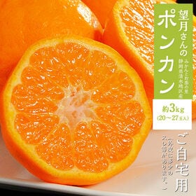 【予約受付】1/9~順次出荷【約3kg/20-27玉】静岡県産 望月さんのポンカン ※スレ傷あり | 糖と酸のバランスが絶妙♪果汁も豊富です！