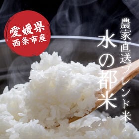 【10kg(5kg×2袋)】【白米】愛媛県西条市産 水の都米