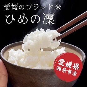 【20kg(5kg×4袋)】【白米】愛媛県西条市産 ひめの凜