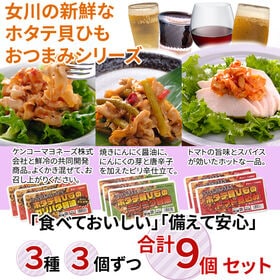 【900g (100g×9)】【ギフト箱入り】宮城県産ホタテ貝ひも 3種9個セット