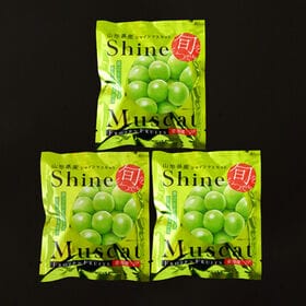 【100g×3袋】「凍眠フルーツ」 シャインマスカット3袋セット