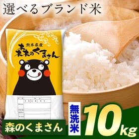 【計10kg(5kg×2袋)】令和7年産 熊本県産選べる三大銘柄米 無洗米【森のくまさん】 | 厳選！米どころ熊本を代表する三大銘柄米！