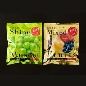【2種各1袋/計200g】「凍眠フルーツ」2種セット（シャインマスカット/ミックスフルーツ）