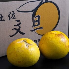 【予約受付】2/2~順次出荷【約5kg/ L〜5L】高知県産 柑橘 戸波選果場 土佐文旦