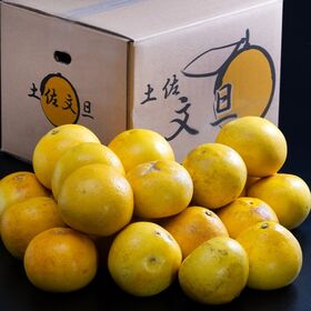【予約受付】2/2~順次出荷【約5kg/ L〜5L】高知県産 柑橘 戸波選果場 土佐文旦