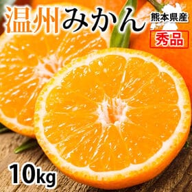 【約10kg】 温州みかん 秀品 熊本県産