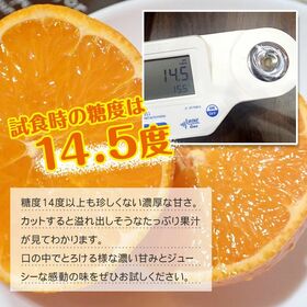 【予約受付】3/1~順次出荷【約3kg】愛媛県産せとか 秀品