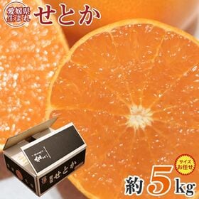 【予約受付】3/1~順次出荷【約5kg/約20~30玉】愛媛県産せとか 秀品 | まるでジュースのような瑞々しい口当たり。