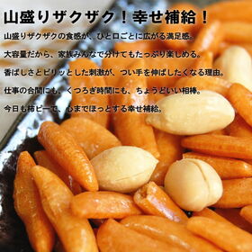 ＜シンプル百科＞【500g】毎日つまめる大容量の柿ピー