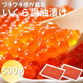 【日替わり数量限定】【計500g】いくら醤油漬け《天然紅鮭》【先行チケット利用NG】