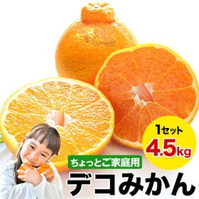 【予約受付】1/19~順次出荷【4.5kg】デコみかん※ちょっとご家庭用（傷あり サイズ不選別）