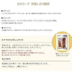 【500g(250g×2)】花畑牧場 ＜形状不良＞カタラーナ【冷凍配送】