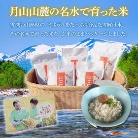 【300g×1袋】笑う玄米生活！にこにこ玄米パック(雪若丸玄米）