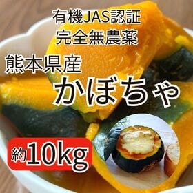 【約10kg/5~8玉】熊本県産かぼちゃ 完全無農薬・有機JAS認証