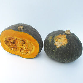 【約10kg/5~8玉】熊本県産かぼちゃ 完全無農薬・有機JAS認証