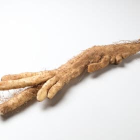 【約1.2kg】熊本県産自然薯（形不揃い）有機JAS認証・完全無農薬（専用箱入り）